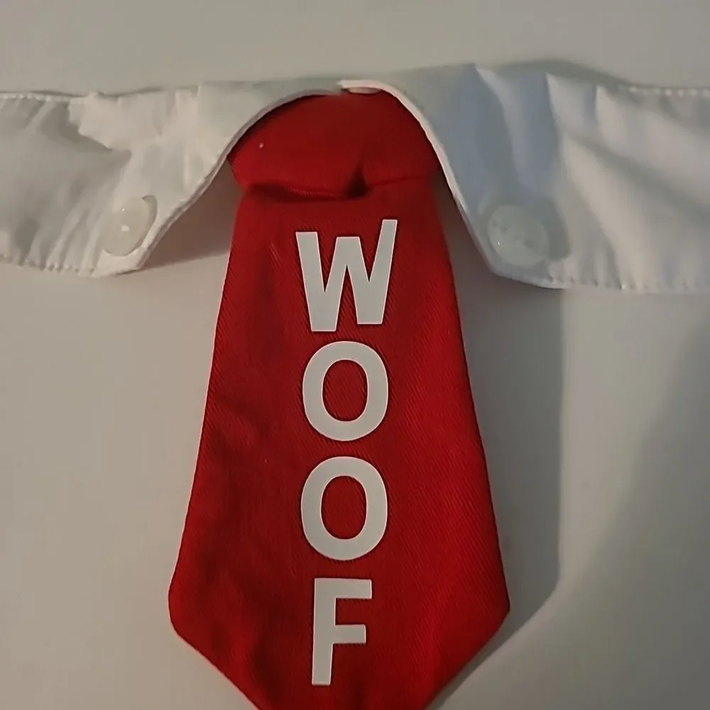 Dog Collar and Necktie
